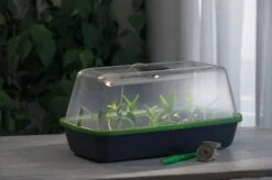 Gewächshaus & Pflanzkasten BoQube M PLUS LED & Heizmatte - Anthrazit-Sommergrün 11 Gewächshaus & Pflanzkasten BoQube M PLUS LED & Heizmatte - Anthrazit-Sommergrün -Windhager || Compo Verkäufe romberg gewaechshaus pflanzkasten boqube m plus led heizmatte anthrazit sommergruen 1 st 1676056 de