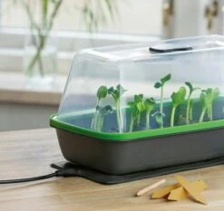 Gewächshaus & Pflanzkasten BoQube M PLUS LED & Heizmatte - Anthrazit-Sommergrün 15 Gewächshaus & Pflanzkasten BoQube M PLUS LED & Heizmatte - Anthrazit-Sommergrün -Windhager || Compo Verkäufe romberg gewaechshaus pflanzkasten boqube m plus led heizmatte anthrazit sommergruen 1 stk 1046351 de