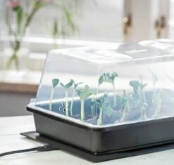 Power Gewächshaus "Thermo M" -Windhager || Compo Verkäufe romberg power gewaechshaus thermo m 1 st 907769 de