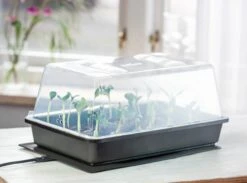 Power Gewächshaus "Thermo M" -Windhager || Compo Verkäufe romberg power gewaechshaus thermo m 1 st 907776 de