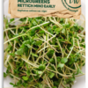 Bio Keimsprossen/Microgreens - Rucola -Windhager || Compo Verkäufe samen maier bio keimsprossen microgreens rucola 1672936 de