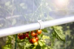 Windhager Ersatzclip Für Tomatenhaus Alustar -Windhager || Compo Verkäufe windhager ersatzclip fuer tomatenhaus alustar 1 set 1670524 de