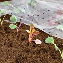 Windhager Frühbeet-Folie 7 Windhager Frühbeet-Folie -Windhager || Compo Verkäufe windhager fruehbeet folie 1 k 1166804 de