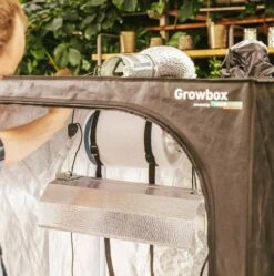 Windhager Growbox Starterset -Windhager || Compo Verkäufe windhager growbox starterset 1 set 1118977 de