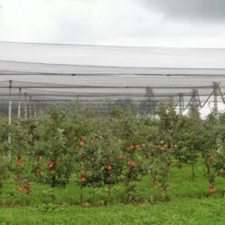 Windhager Hagelschutz-Netz, 5x4m -Windhager || Compo Verkäufe windhager hagelschutz netz 1168908 de