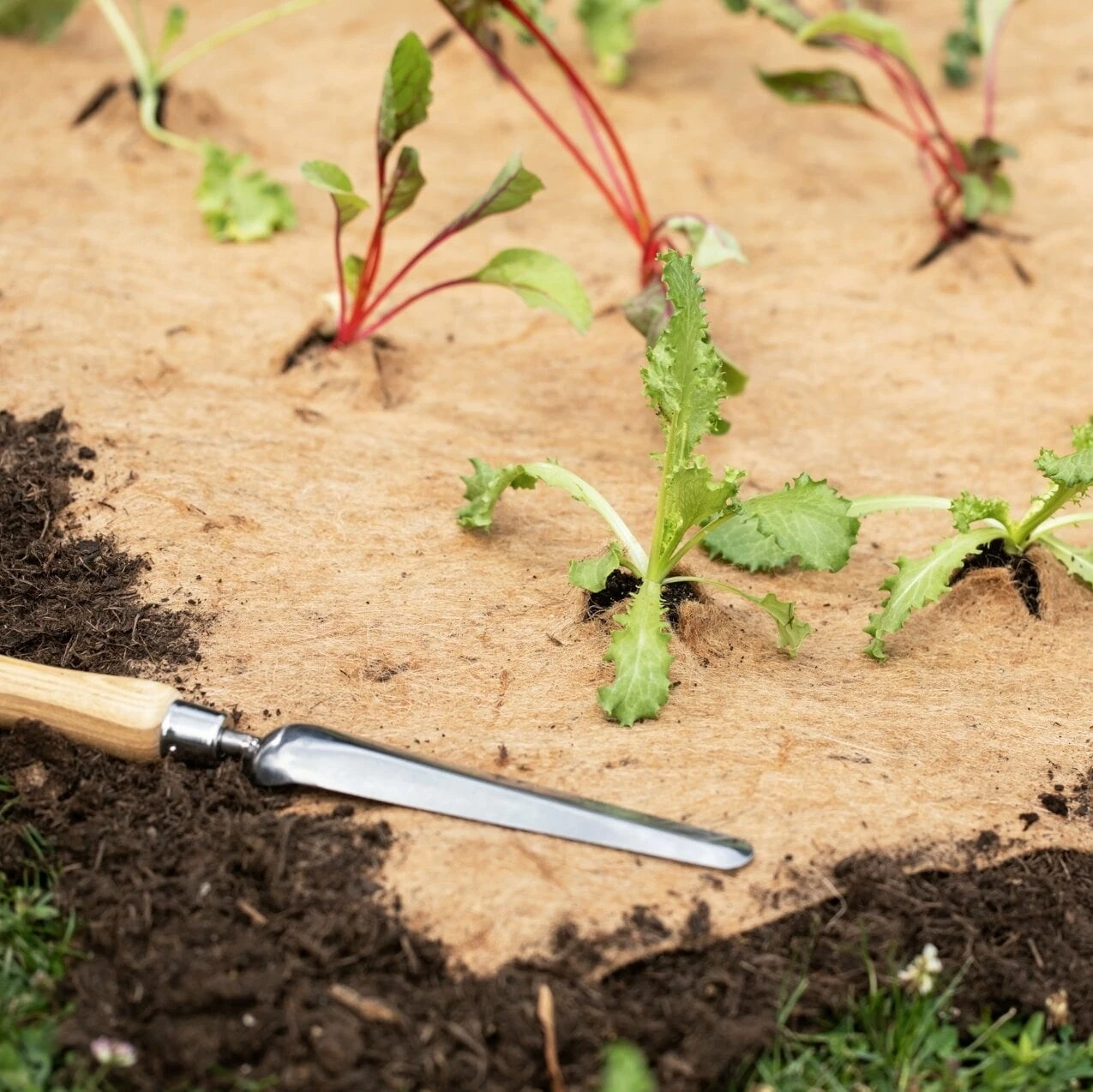 Windhager Jute-Vlies Mulchmatte 3 Windhager Jute-Vlies Mulchmatte