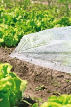 Windhager Metall-Heringe -Windhager || Compo Verkäufe windhager metall heringe 1 set 761994 de