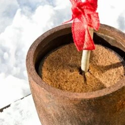 Windhager Mulchscheibe Cocodisc, 25 Cm -Windhager || Compo Verkäufe windhager mulchscheibe cocodisc 1209372 de