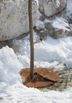 Windhager Mulchscheibe Cocodisc, 25 Cm -Windhager || Compo Verkäufe windhager mulchscheibe cocodisc 1661782 de