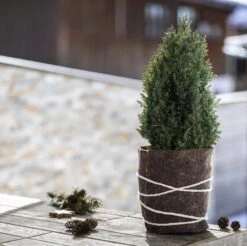 Windhager Schafwoll-Filzmatte Medium, 0,6 X 1,2 M 11 Windhager Schafwoll-Filzmatte Medium, 0,6 X 1,2 M -Windhager || Compo Verkäufe windhager schafwoll filzmatte medium 1043920 de