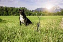 Windhager Spiralhering -Windhager || Compo Verkäufe windhager spiralhering 1 stk 763707 de