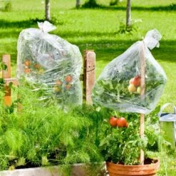 Windhager Tomaten-Folienschlauch -Windhager || Compo Verkäufe windhager tomaten folienschlauch 1 k 1166754 de