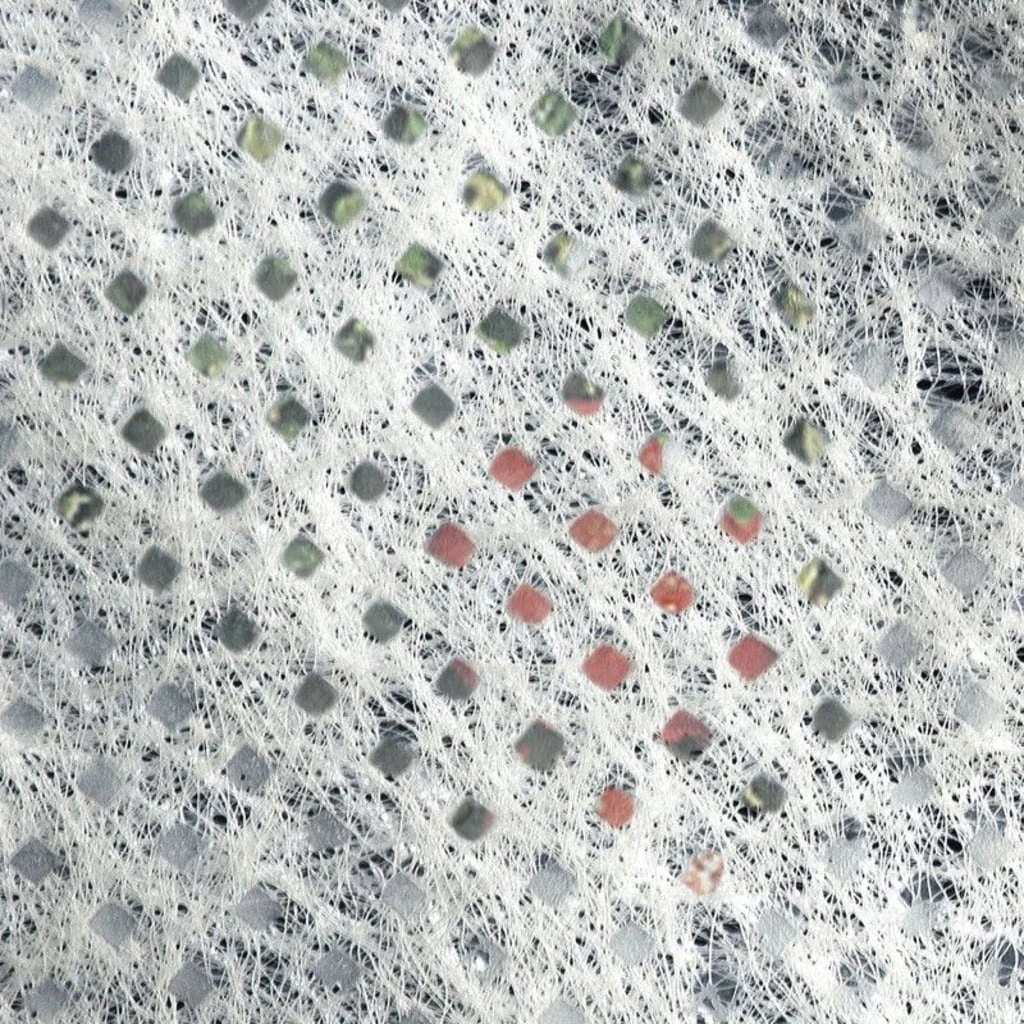 Windhager Tomaten-Vliesschlauch 7 Windhager Tomaten-Vliesschlauch – Bild 5