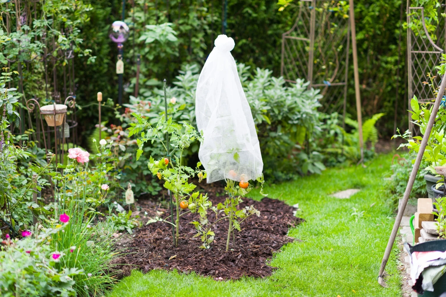 Windhager Tomaten-Vliesschlauch 4 Windhager Tomaten-Vliesschlauch – Bild 2