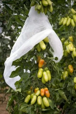 Windhager Tomaten-Vliesschlauch 14 Windhager Tomaten-Vliesschlauch -Windhager || Compo Verkäufe windhager tomaten vliesschlauch 1 stk 761497 de