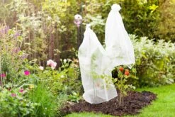 Windhager Tomaten-Vliesschlauch 11 Windhager Tomaten-Vliesschlauch -Windhager || Compo Verkäufe windhager tomaten vliesschlauch 1 stk 761517 de