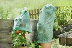 Windhager Tomaten-Vliesschlauch Supergrow -Windhager || Compo Verkäufe windhager tomaten vliesschlauch supergrow 1 stk 761557 de