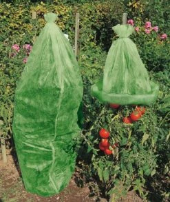 Windhager Tomaten-Vliesschlauch Supergrow -Windhager || Compo Verkäufe windhager tomaten vliesschlauch supergrow 1 stk 761567 de