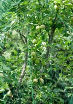 Windhager Vogelschutz-Netz RATIONAL, 8x8m -Windhager || Compo Verkäufe windhager vogelschutz netz rational 1660333 de