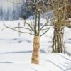 Windhager Winter-Vlies SUPERPROTECT - 3x1,5m -Windhager || Compo Verkäufe windhager winter vlies superprotect 3x15m 1 st 1667829 de