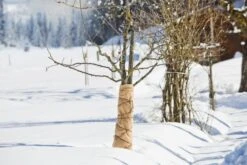 Windhager Winter-Vlies SUPERPROTECT - 3x1,5m