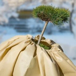 Windhager Winter Vliesmantel "Superprotect XXL" -Windhager || Compo Verkäufe windhager winter vliesmantel superprotect xxl 1 stk 1273644 de