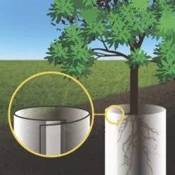 Windhager Wurzelsperr-Vlies -Windhager || Compo Verkäufe windhager wurzelsperr vlies 1 st 1670550 de