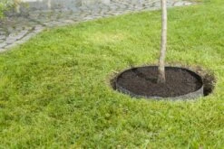 Windhager Wurzelsperr-Vlies -Windhager || Compo Verkäufe windhager wurzelsperr vlies 1 stk 761937 de