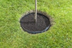 Windhager Wurzelsperr-Vlies -Windhager || Compo Verkäufe windhager wurzelsperr vlies 1 stk 761947 de