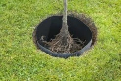 Windhager Wurzelsperr-Vlies -Windhager || Compo Verkäufe windhager wurzelsperr vlies 1 stk 761957 de