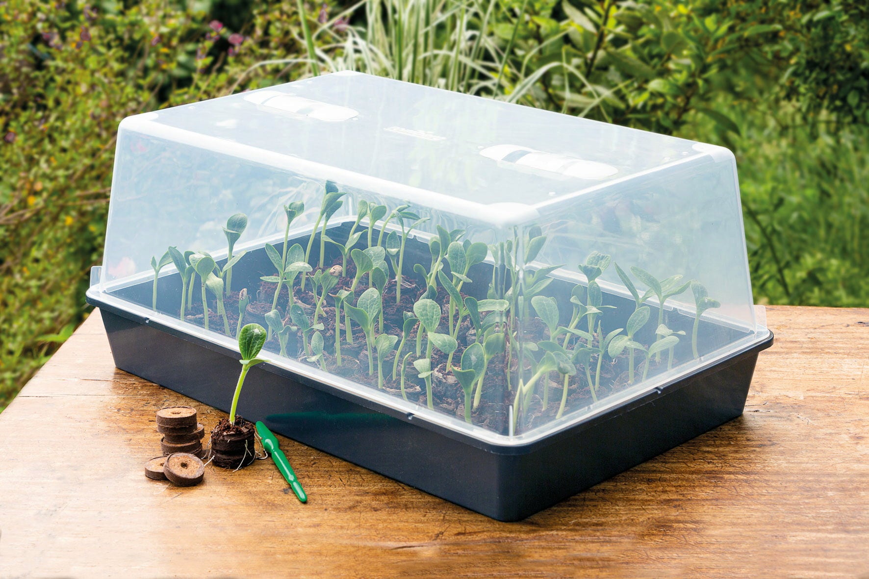 Windhager || Compo Verkäufe -Windhager || Compo Verkäufe RO10294120 gewaechshaus xxl mit deckel und belueftung profiqualitaet 59 x 39 x 27 cm1